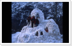 Klicken Sie auf das Bild, um es zu vergrößern