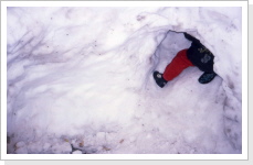 Klicken Sie auf das Bild, um es zu vergrößern