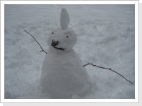 Klicken Sie auf das Bild, um es zu vergrößern