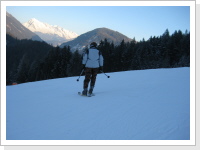 Klicken Sie auf das Bild, um es zu vergrößern